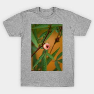 blla bloom in fruiting T-Shirt